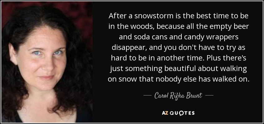 After a snowstorm is the best time to be in the woods, because all the empty beer and soda cans and candy wrappers disappear, and you don't have to try as hard to be in another time. Plus there's just something beautiful about walking on snow that nobody else has walked on. - Carol Rifka Brunt