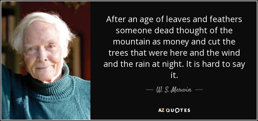 After an age of leaves and feathers someone dead thought of the mountain as money and cut the trees that were here and the wind and the rain at night. It is hard to say it. - W. S. Merwin