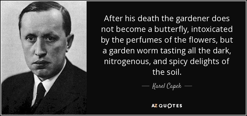 After his death the gardener does not become a butterfly, intoxicated by the perfumes of the flowers, but a garden worm tasting all the dark, nitrogenous, and spicy delights of the soil. - Karel Capek