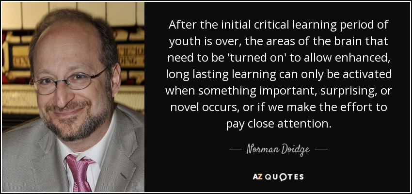 After the initial critical learning period of youth is over, the areas of the brain that need to be 'turned on' to allow enhanced, long lasting learning can only be activated when something important, surprising, or novel occurs, or if we make the effort to pay close attention. - Norman Doidge
