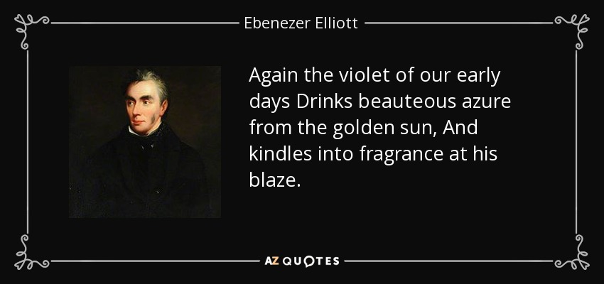 Again the violet of our early days Drinks beauteous azure from the golden sun, And kindles into fragrance at his blaze. - Ebenezer Elliott