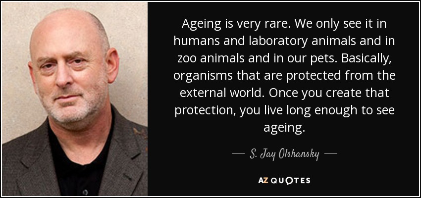 Ageing is very rare. We only see it in humans and laboratory animals and in zoo animals and in our pets. Basically, organisms that are protected from the external world. Once you create that protection, you live long enough to see ageing. - S. Jay Olshansky