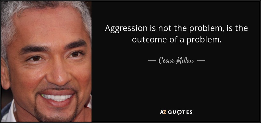 Aggression is not the problem, is the outcome of a problem. - Cesar Millan