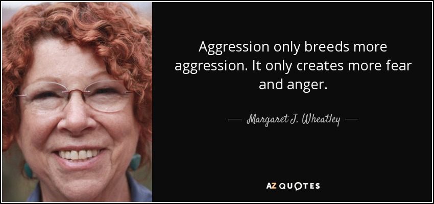 Aggression only breeds more aggression. It only creates more fear and anger. - Margaret J. Wheatley