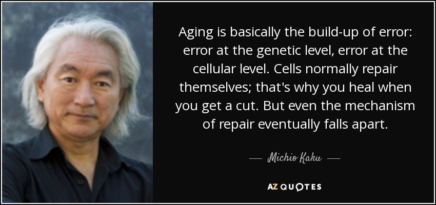 Aging is basically the build-up of error: error at the genetic level, error at the cellular level. Cells normally repair themselves; that's why you heal when you get a cut. But even the mechanism of repair eventually falls apart. - Michio Kaku