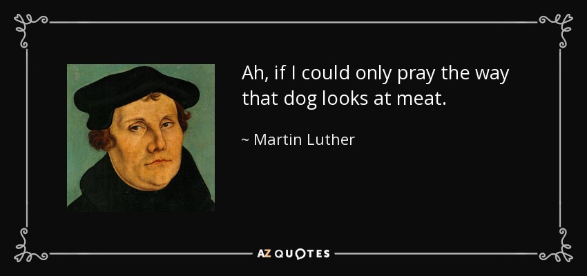 Ah, if I could only pray the way that dog looks at meat. - Martin Luther