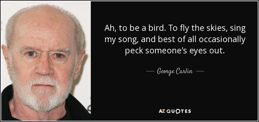 Ah, to be a bird. To fly the skies, sing my song, and best of all occasionally peck someone's eyes out. - George Carlin