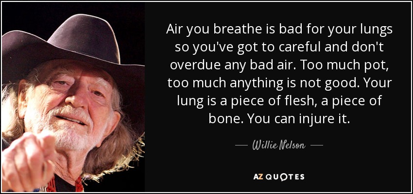Air you breathe is bad for your lungs so you've got to careful and don't overdue any bad air. Too much pot, too much anything is not good. Your lung is a piece of flesh, a piece of bone. You can injure it. - Willie Nelson