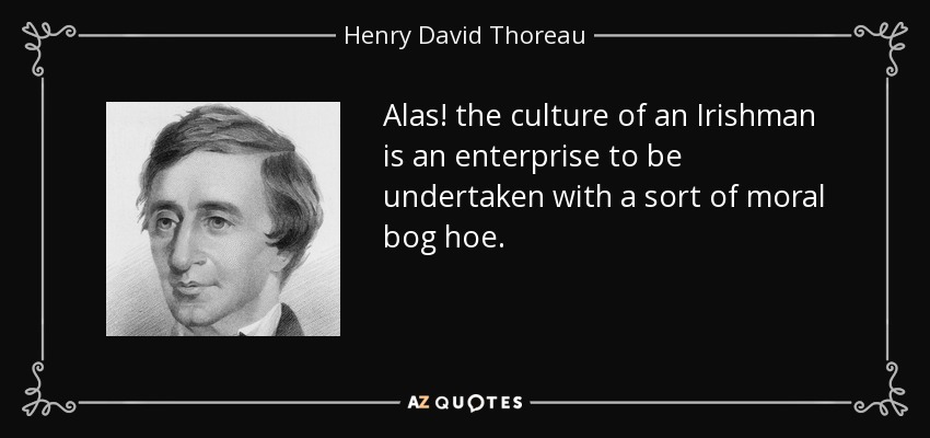 Alas! the culture of an Irishman is an enterprise to be undertaken with a sort of moral bog hoe. - Henry David Thoreau