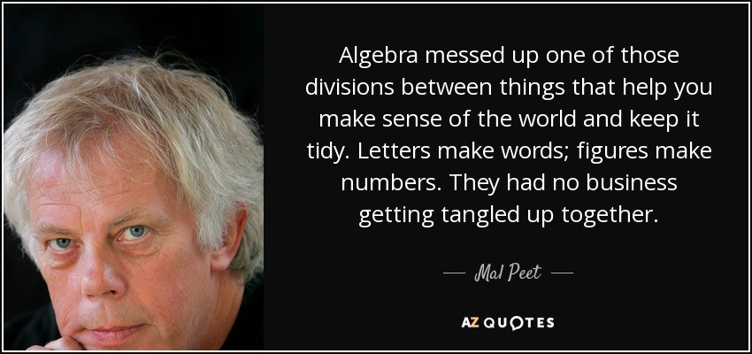Algebra messed up one of those divisions between things that help you make sense of the world and keep it tidy. Letters make words; figures make numbers. They had no business getting tangled up together. - Mal Peet