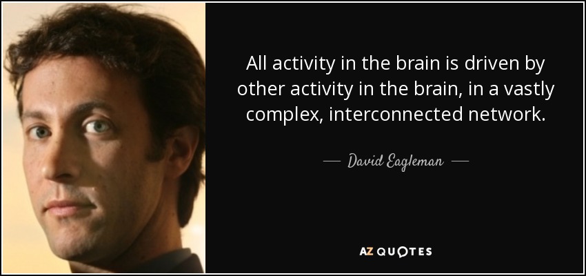 All activity in the brain is driven by other activity in the brain, in a vastly complex, interconnected network. - David Eagleman