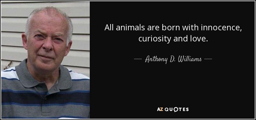 All animals are born with innocence, curiosity and love. - Anthony D. Williams