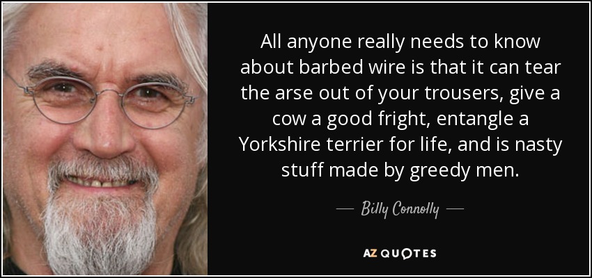 All anyone really needs to know about barbed wire is that it can tear the arse out of your trousers, give a cow a good fright, entangle a Yorkshire terrier for life, and is nasty stuff made by greedy men. - Billy Connolly
