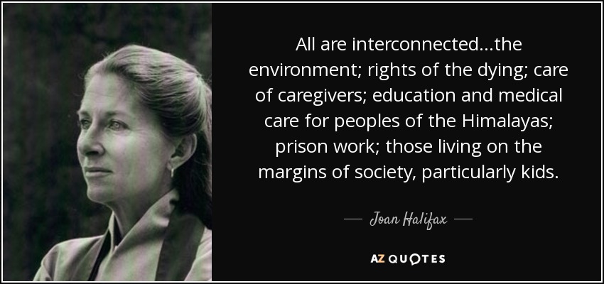 All are interconnected...the environment; rights of the dying; care of caregivers; education and medical care for peoples of the Himalayas; prison work; those living on the margins of society, particularly kids. - Joan Halifax