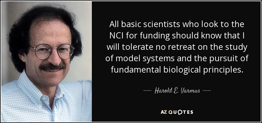 All basic scientists who look to the NCI for funding should know that I will tolerate no retreat on the study of model systems and the pursuit of fundamental biological principles. - Harold E. Varmus