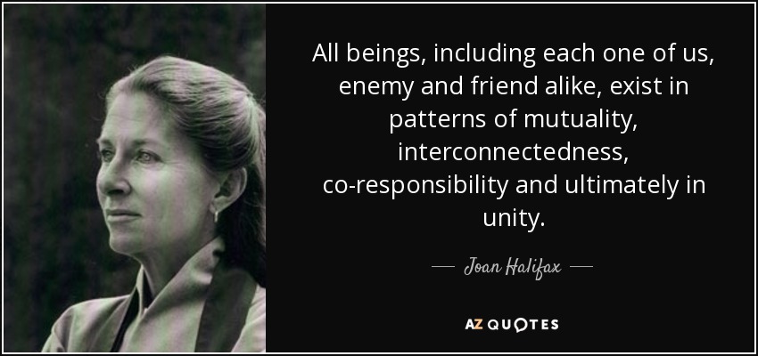 All beings, including each one of us, enemy and friend alike, exist in patterns of mutuality, interconnectedness, co-responsibility and ultimately in unity. - Joan Halifax