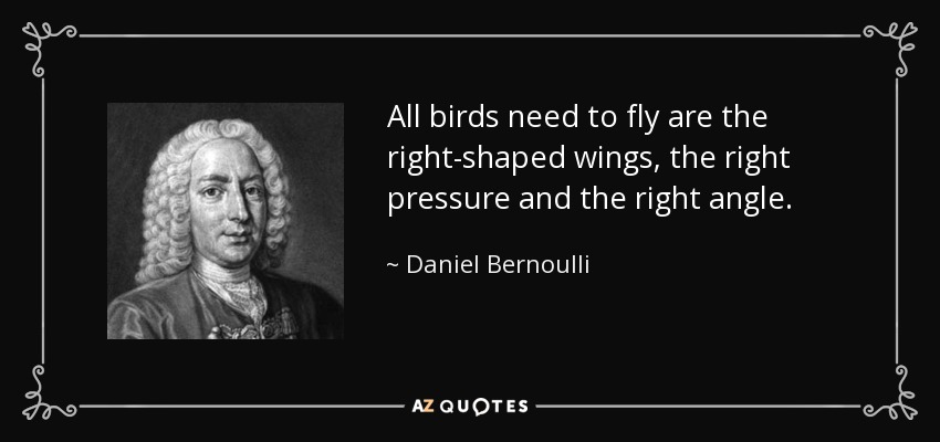 All birds need to fly are the right-shaped wings, the right pressure and the right angle. - Daniel Bernoulli