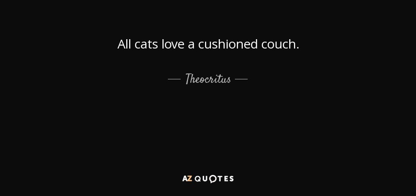 All cats love a cushioned couch. - Theocritus