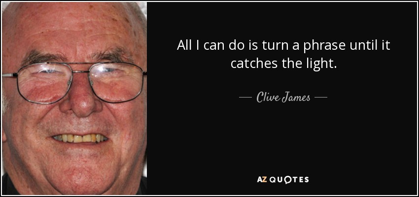 All I can do is turn a phrase until it catches the light. - Clive James