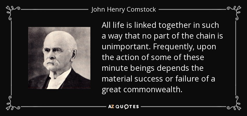 All life is linked together in such a way that no part of the chain is unimportant. Frequently, upon the action of some of these minute beings depends the material success or failure of a great commonwealth. - John Henry Comstock