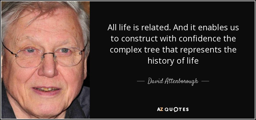 All life is related. And it enables us to construct with confidence the complex tree that represents the history of life - David Attenborough