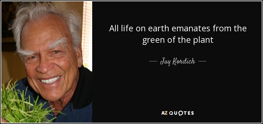 All life on earth emanates from the green of the plant - Jay Kordich