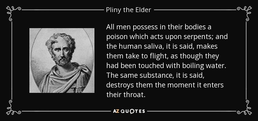 All men possess in their bodies a poison which acts upon serpents; and the human saliva, it is said, makes them take to flight, as though they had been touched with boiling water. The same substance, it is said, destroys them the moment it enters their throat. - Pliny the Elder