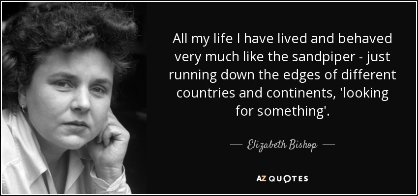 All my life I have lived and behaved very much like the sandpiper - just running down the edges of different countries and continents, 'looking for something'. - Elizabeth Bishop