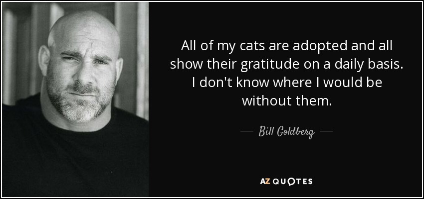 All of my cats are adopted and all show their gratitude on a daily basis. I don't know where I would be without them. - Bill Goldberg