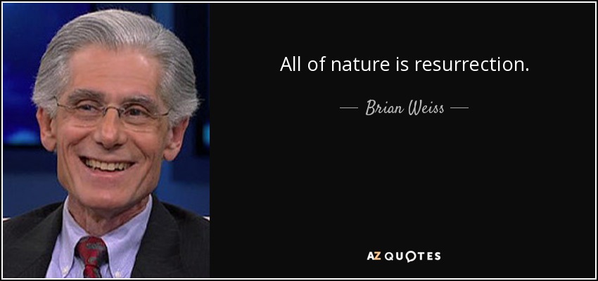 All of nature is resurrection. - Brian Weiss