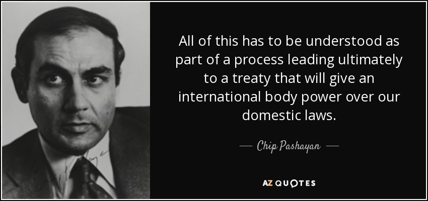 All of this has to be understood as part of a process leading ultimately to a treaty that will give an international body power over our domestic laws. - Chip Pashayan