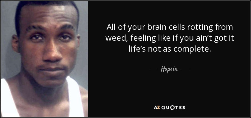 All of your brain cells rotting from weed, feeling like if you ain’t got it life’s not as complete. - Hopsin