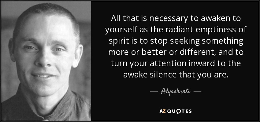 All that is necessary to awaken to yourself as the radiant emptiness of spirit is to stop seeking something more or better or different, and to turn your attention inward to the awake silence that you are. - Adyashanti