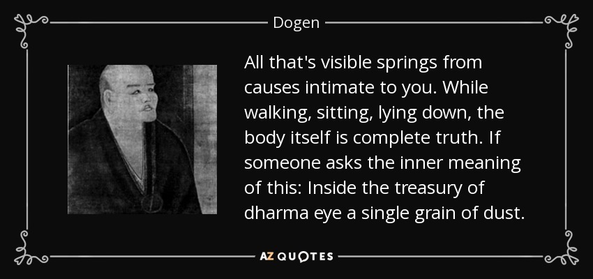 All that's visible springs from causes intimate to you. While walking, sitting, lying down, the body itself is complete truth. If someone asks the inner meaning of this: Inside the treasury of dharma eye a single grain of dust. - Dogen
