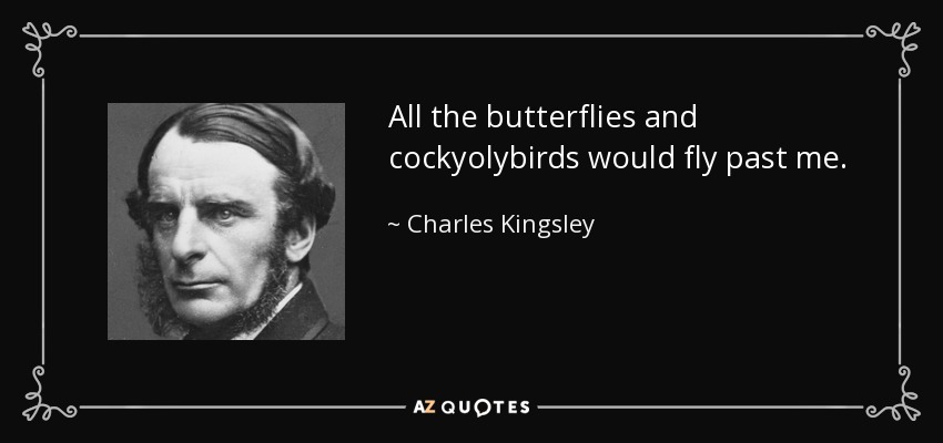 All the butterflies and cockyolybirds would fly past me. - Charles Kingsley
