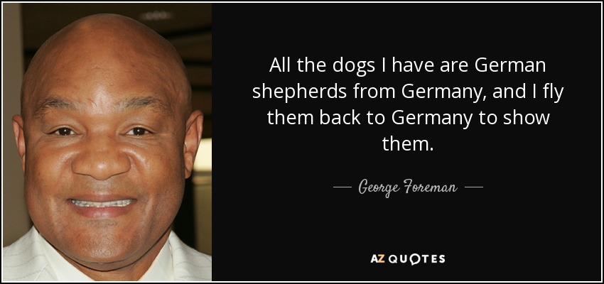 All the dogs I have are German shepherds from Germany, and I fly them back to Germany to show them. - George Foreman