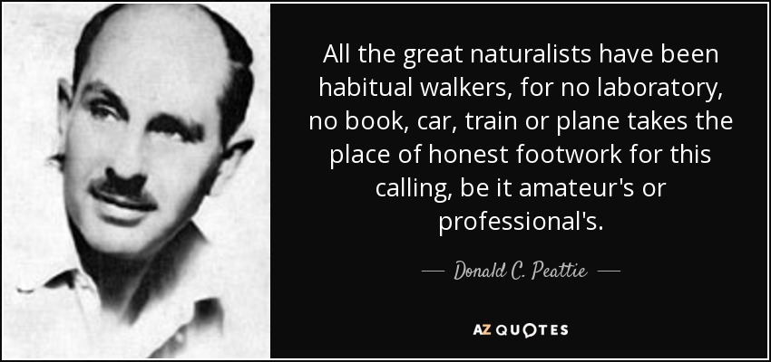 All the great naturalists have been habitual walkers, for no laboratory, no book, car, train or plane takes the place of honest footwork for this calling, be it amateur's or professional's. - Donald C. Peattie