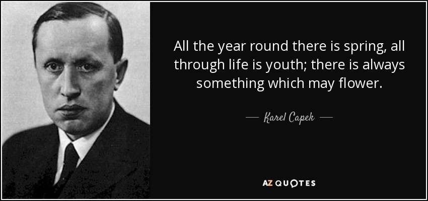 All the year round there is spring, all through life is youth; there is always something which may flower. - Karel Capek