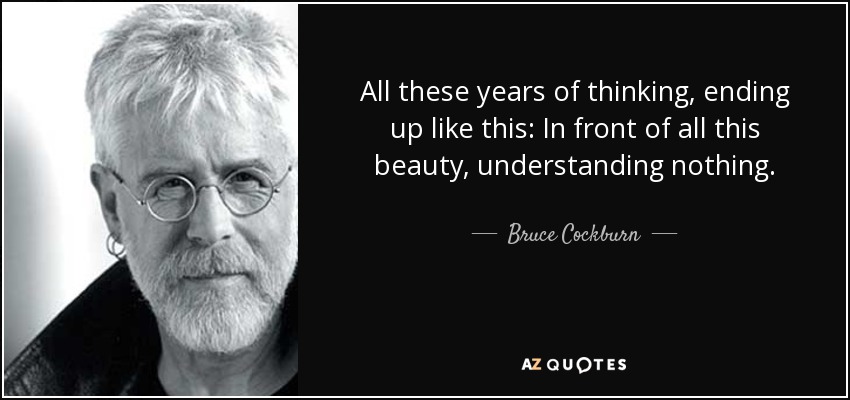 All these years of thinking, ending up like this: In front of all this beauty, understanding nothing. - Bruce Cockburn