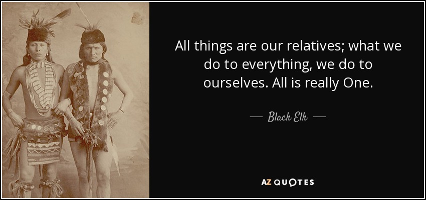 All things are our relatives; what we do to everything, we do to ourselves. All is really One. - Black Elk