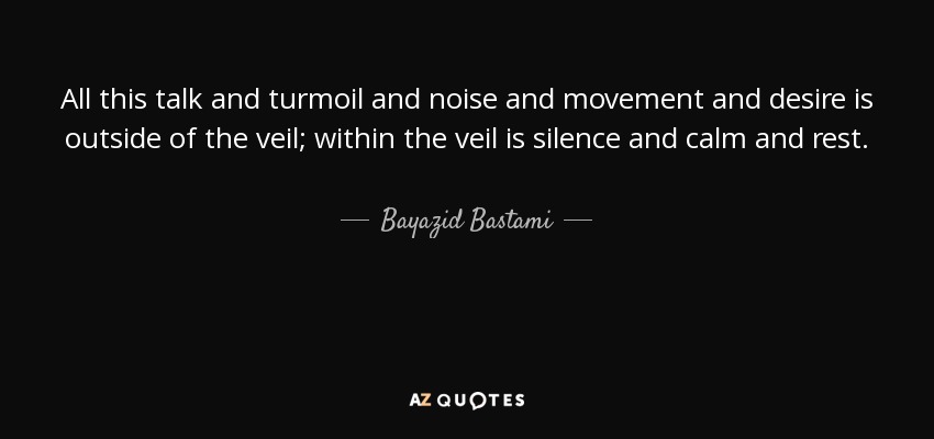 All this talk and turmoil and noise and movement and desire is outside of the veil; within the veil is silence and calm and rest. - Bayazid Bastami
