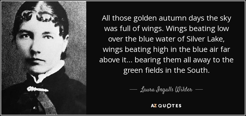All those golden autumn days the sky was full of wings. Wings beating low over the blue water of Silver Lake, wings beating high in the blue air far above it . . . bearing them all away to the green fields in the South. - Laura Ingalls Wilder