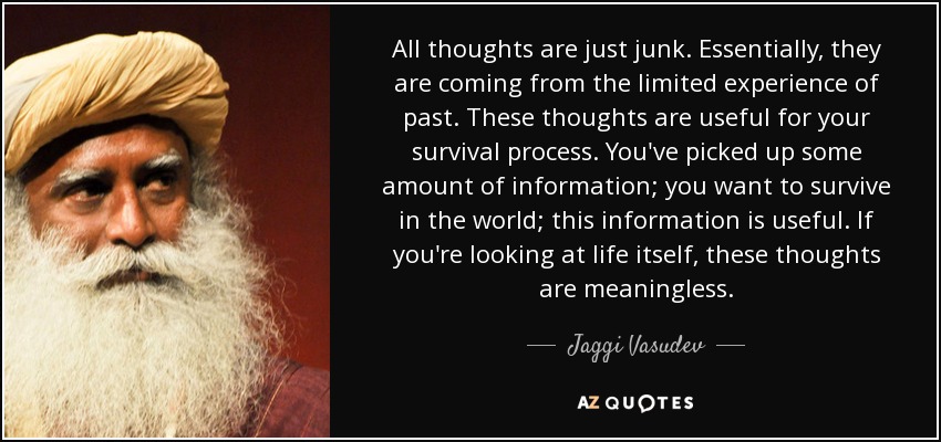 All thoughts are just junk. Essentially, they are coming from the limited experience of past. These thoughts are useful for your survival process. You've picked up some amount of information; you want to survive in the world; this information is useful. If you're looking at life itself, these thoughts are meaningless. - Jaggi Vasudev