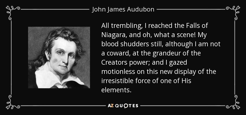 All trembling, I reached the Falls of Niagara, and oh, what a scene! My blood shudders still, although I am not a coward, at the grandeur of the Creators power; and I gazed motionless on this new display of the irresistible force of one of His elements. - John James Audubon