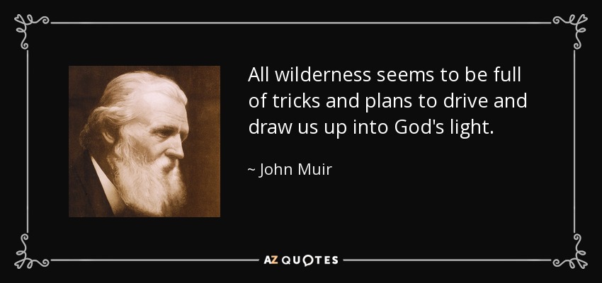 All wilderness seems to be full of tricks and plans to drive and draw us up into God's light. - John Muir