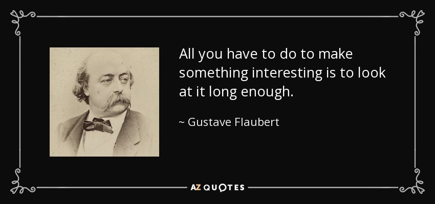 All you have to do to make something interesting is to look at it long enough. - Gustave Flaubert