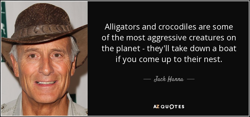 Alligators and crocodiles are some of the most aggressive creatures on the planet - they'll take down a boat if you come up to their nest. - Jack Hanna