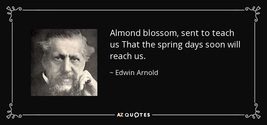 Almond blossom, sent to teach us That the spring days soon will reach us. - Edwin Arnold