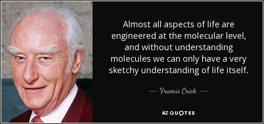 Almost all aspects of life are engineered at the molecular level, and without understanding molecules we can only have a very sketchy understanding of life itself. - Francis Crick