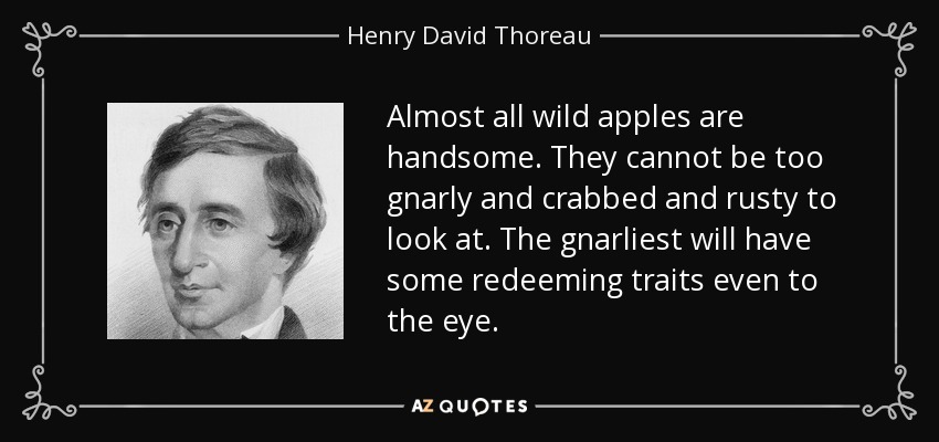 Almost all wild apples are handsome. They cannot be too gnarly and crabbed and rusty to look at. The gnarliest will have some redeeming traits even to the eye. - Henry David Thoreau